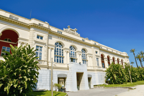 Ovo Castle