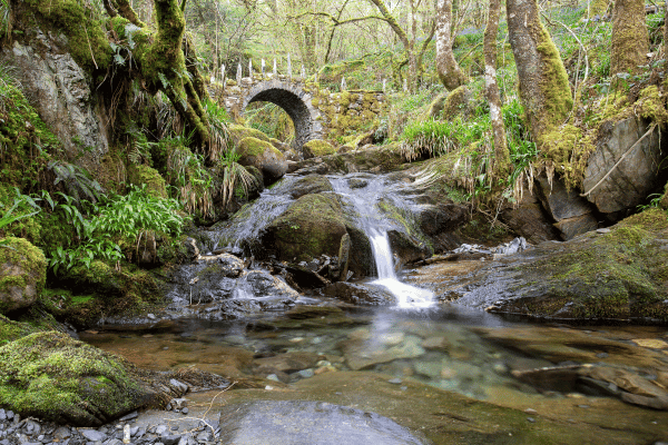 Isle of Skye: From Portree to Fairy Pools & Sligachan Old Bridge — image 5