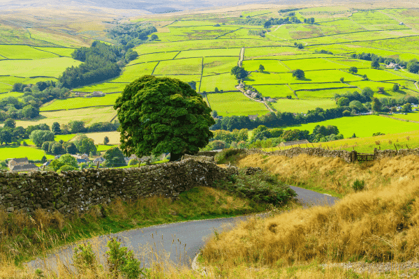Nidderdale Driving Tour — image 2