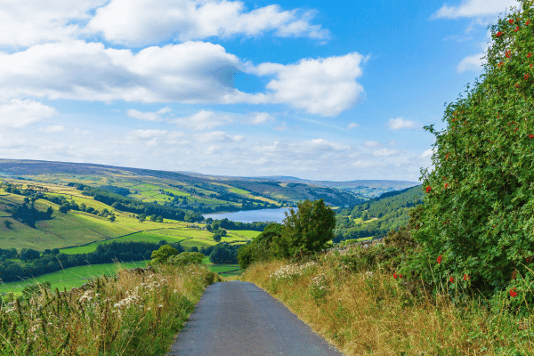 Nidderdale Driving Tour — image 4