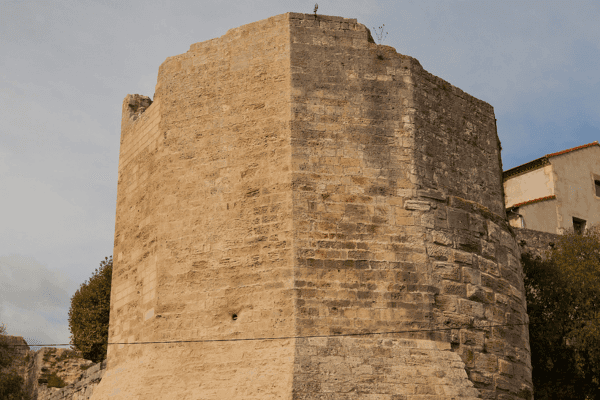 Recorrido histórico a pie por la antigua Arles — image 3