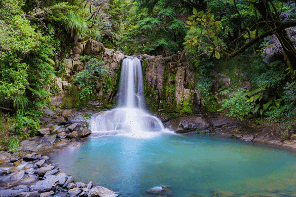 Tour sin conductor por la península de Coromandel en Nueva Zelanda