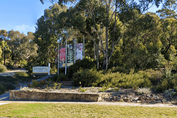 Visita autoguiada a pie por lo más destacado de la ciudad de Canberra — image 4