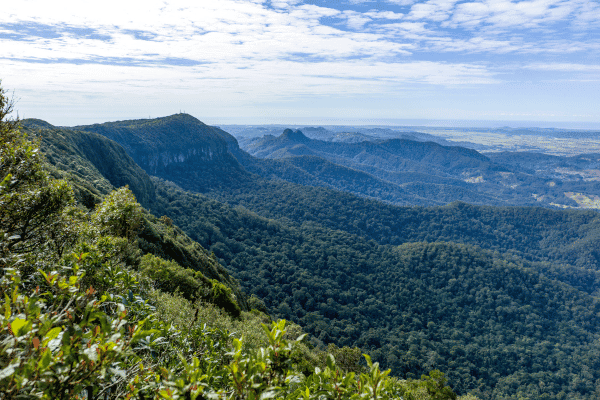 Tour en autoguiado por el Parque Nacional Spring Brook — image 5