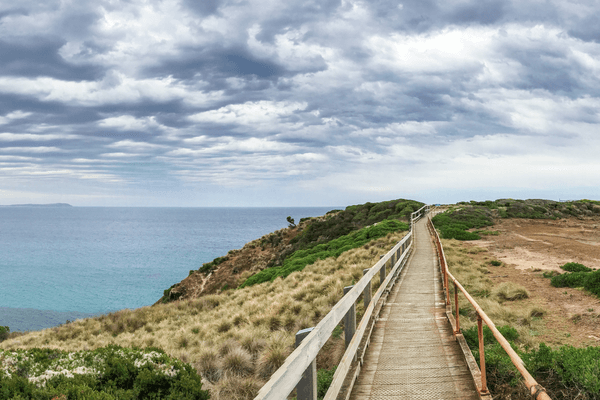 Tour en autoguiado por Phillip Island — image 5