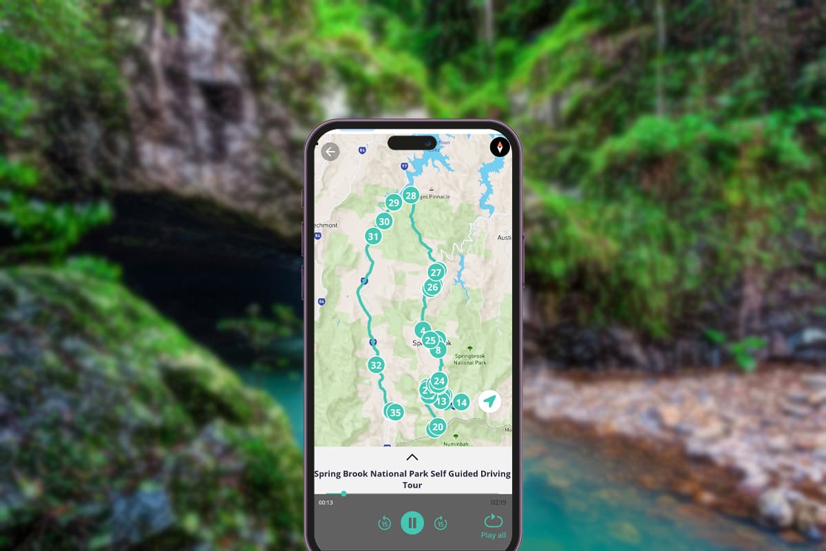 Tour en autoguiado por el Parque Nacional Spring Brook — image 3