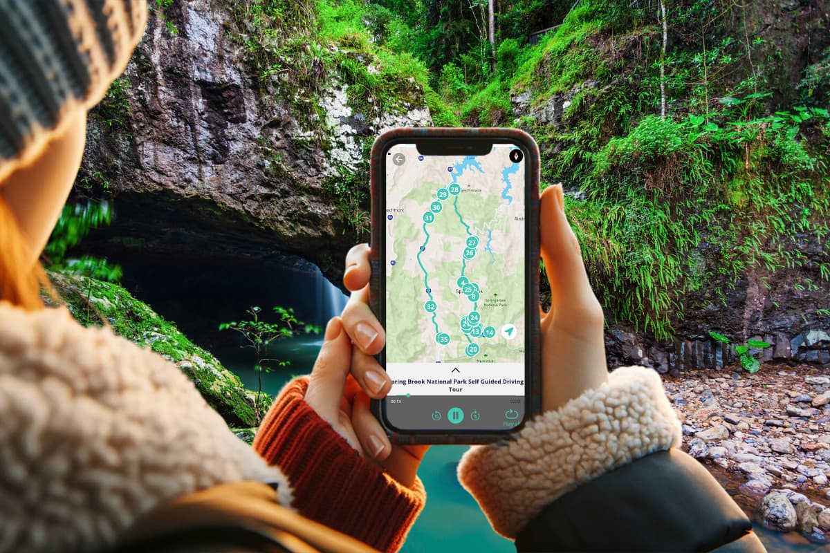 Tour en autoguiado por el Parque Nacional Spring Brook — image 4
