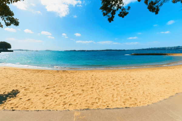 Tour a pie autoguiado por Devonport Auckland — image 3