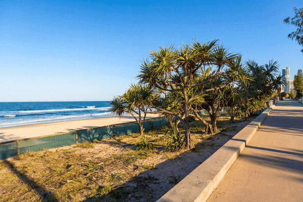 Tour a pie autoguiado por Gold Coast — image 2