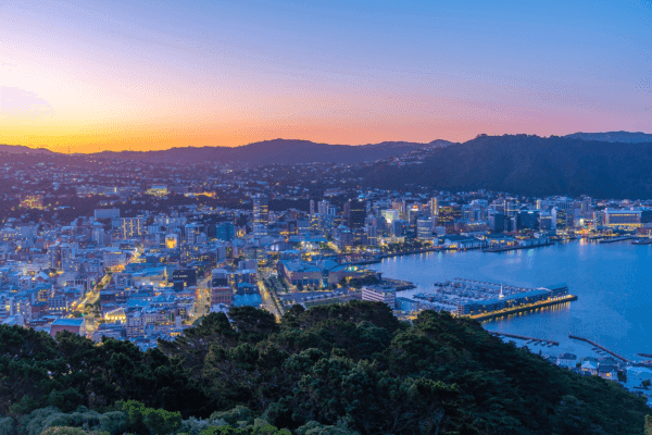 Pack de tours de Wellington