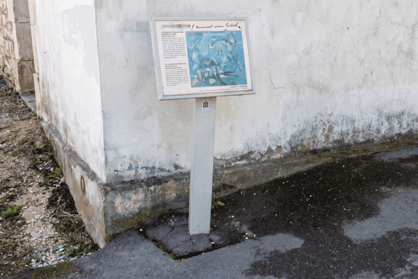 Saint-Rémy-de-Provence Van Gogh Self-Guided Walking Tour — image 5